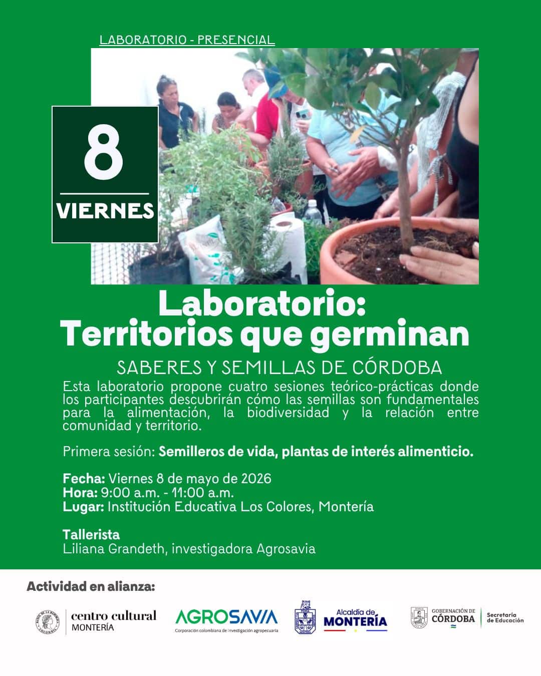 Programación en el Centro Cultural del Banco de la República en Montería