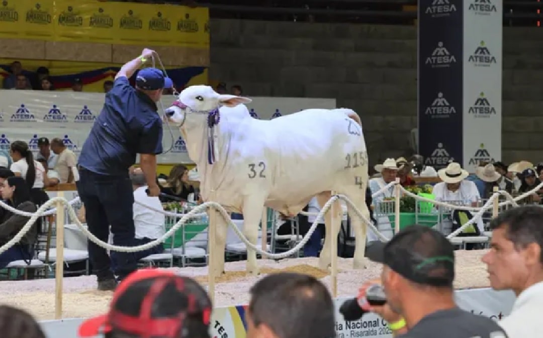 Feria Nacional Cebú: Córdoba será sede de la feria que impulsará el turismo de negocios, el comercio y la economía regional