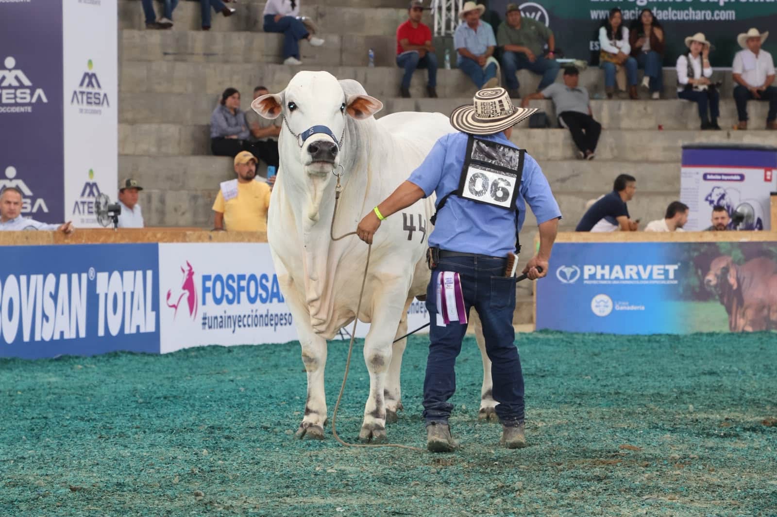 La 79.ª Feria Nacional Cebú llega a Córdoba con acceso gratuito para todos